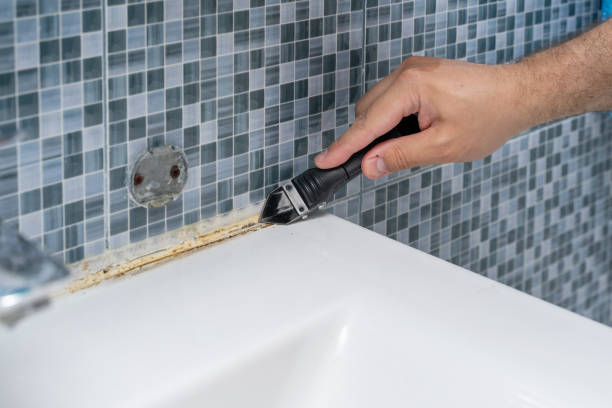 Best Bathroom Mold Remediation in Shepherd, MI