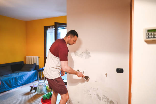 Best Post-Remediation Services in Shepherd, MI